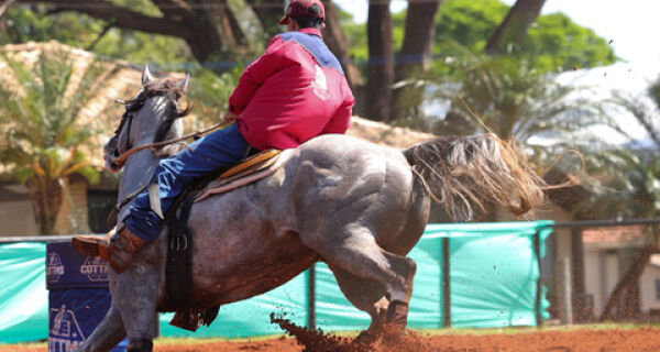 4ª Expoequestre MS reúne 12 mil pessoas e mais de mil inscrições em provas equestres