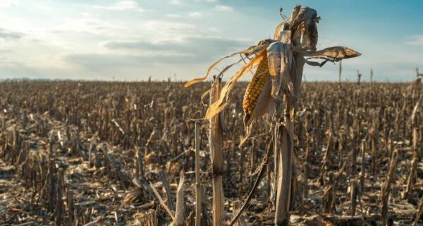 Carta Aberta da Frente Parlamentar da Agropecuária
