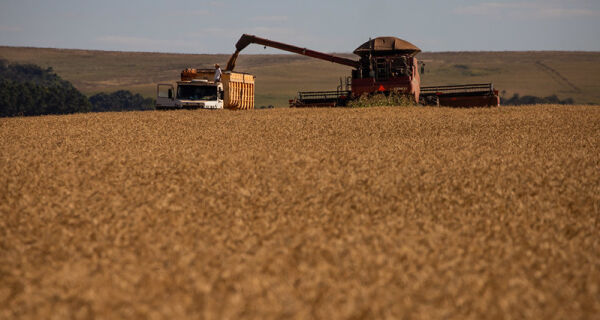 Mesmo com El Niño, projeto orçamentário prevê incerteza para Seguro Rural em 2027