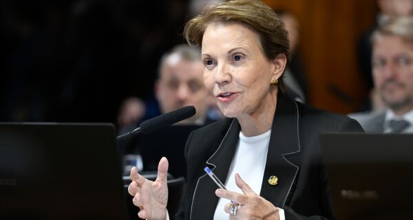 Agro vive uma 'tempestade perfeita', diz senadora Tereza Cristina