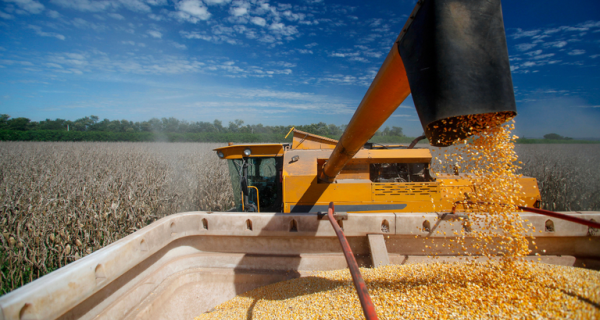 Crédito rural para a agricultura empresarial soma R$ 107,1 bilhões nos três primeiros meses da safra