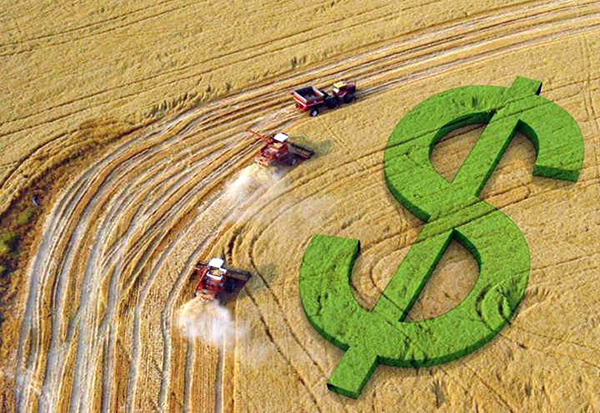 Preços da soja estabilizam com valorização do dólar e queda de Chicago -  Acrissul