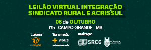 LEILÃO DA INTEGRAÇÃO REC BANNER