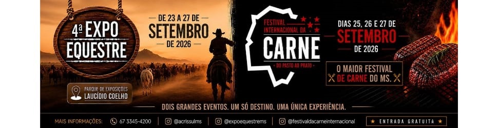 Festivais